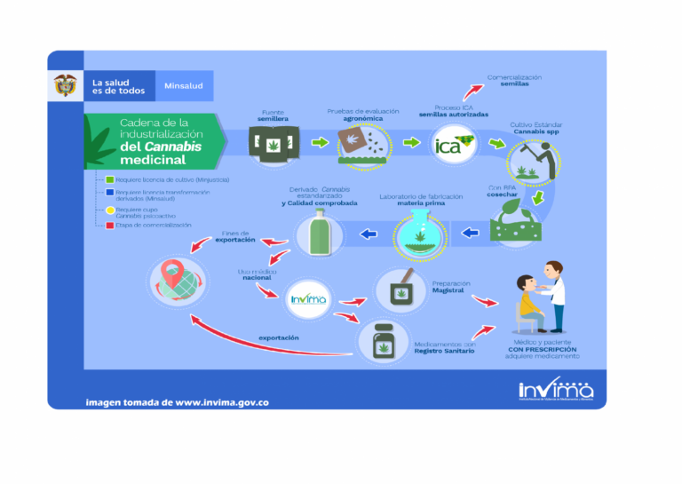 El viaje del cannabis medicinal en Colombia ¿Cómo empezó esta historia?